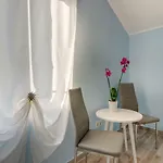 Leon & Rent A Quad * Mali Lošinj